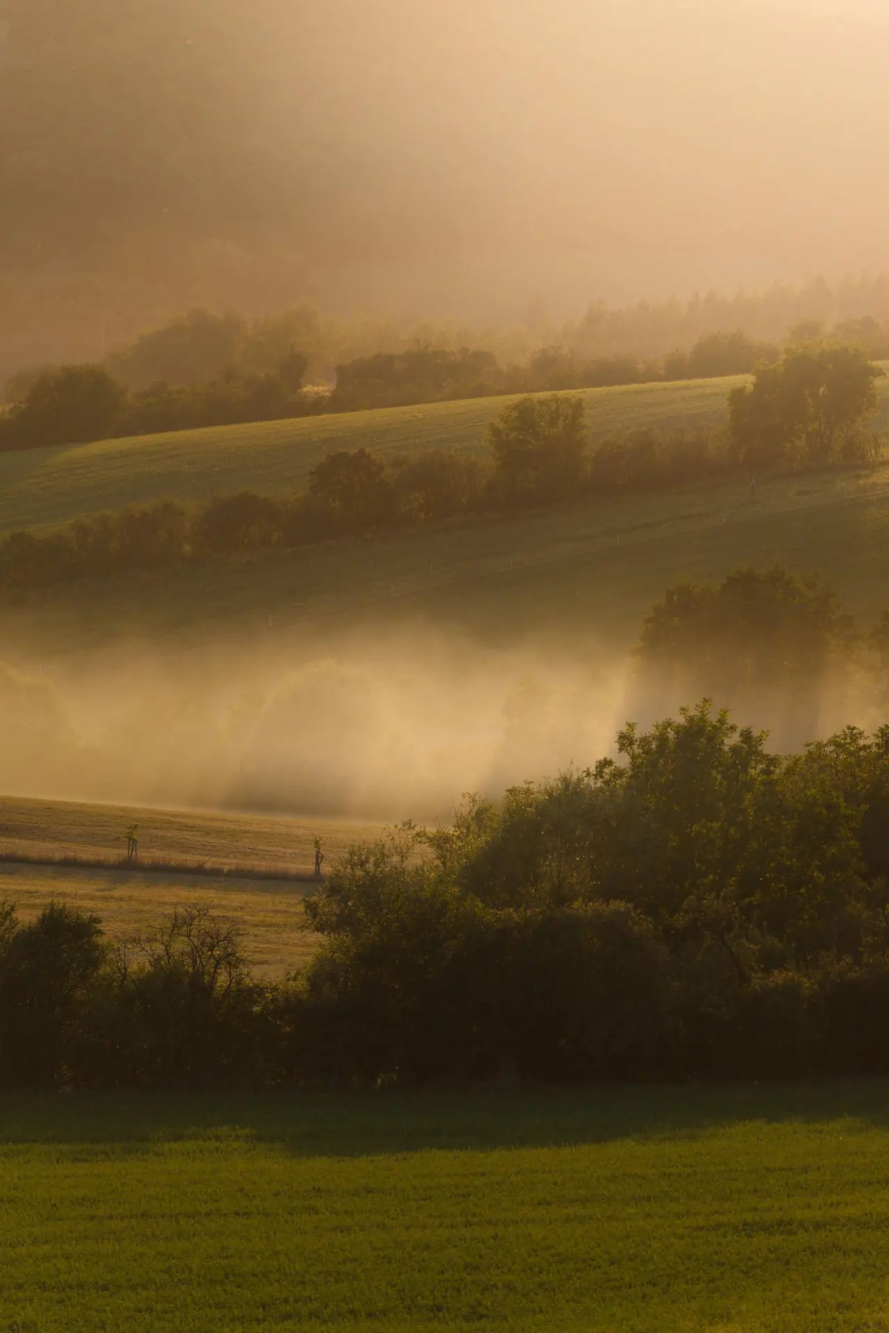Ranní mlha v kopcích nad Olšavou